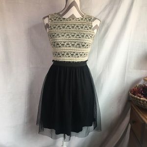 Speeckless Lace and Tulle Zipper Back Dress, Sz S